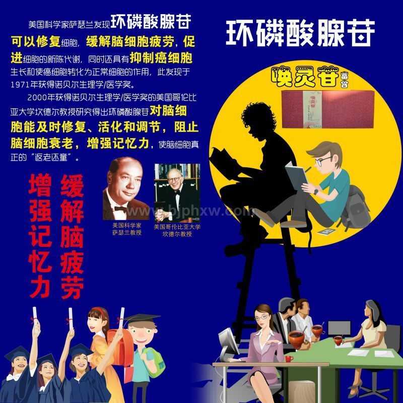 喚靈苷--過(guò)目不忘，元來(lái)如此