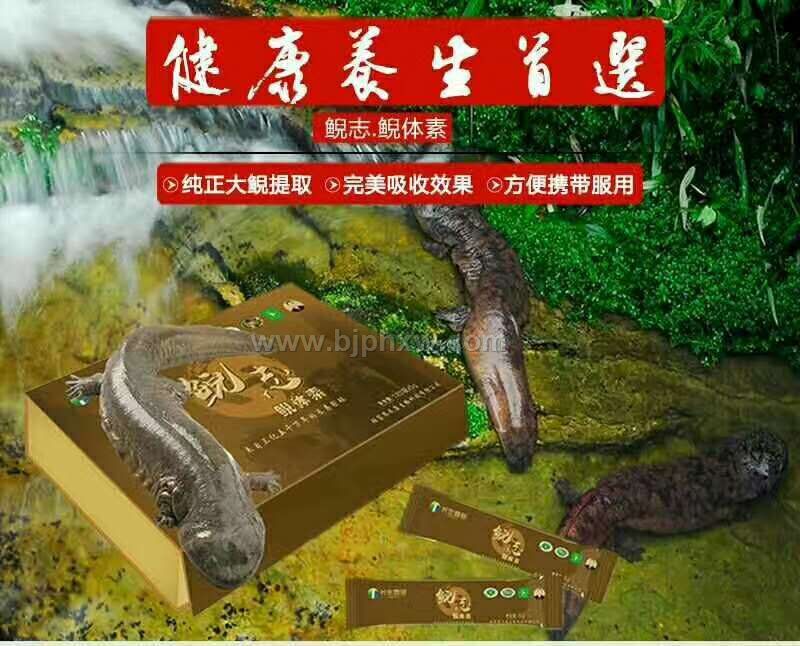 鯢志.鯢體素