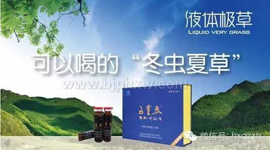 補(bǔ)氣血 增強(qiáng)免疫力 補(bǔ)腎功效產(chǎn)品--五靈參口服液