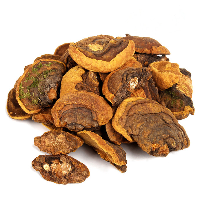 桑黃，又名桑耳、桑臣、桑寄生、桑黃菇、猢猻眼和針層孔菌等