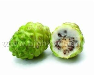 諾麗酵素供應(yīng)