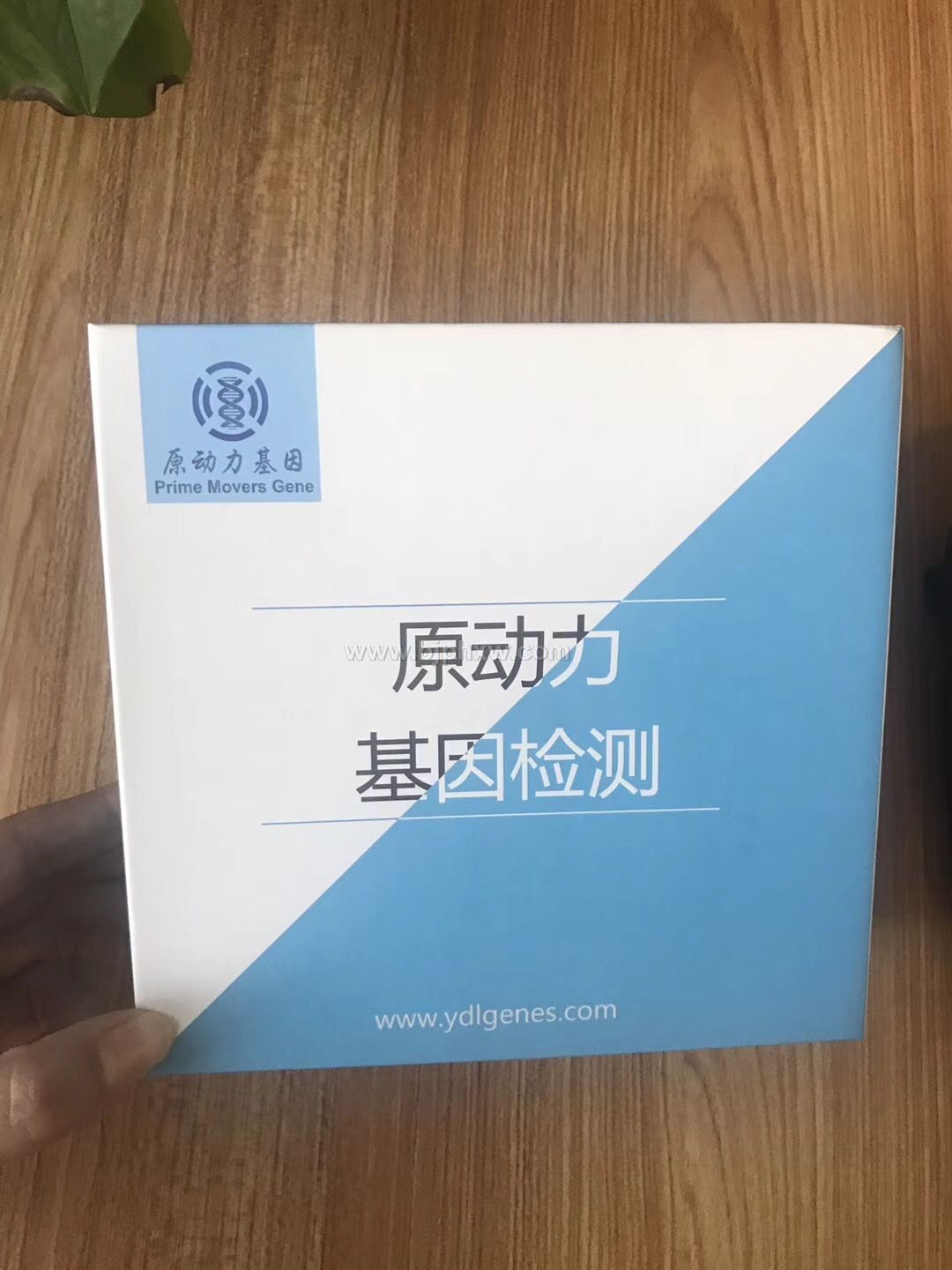 基因檢測 尋求會銷合作伙伴