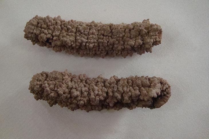 澳洲海參總代理誠征代理