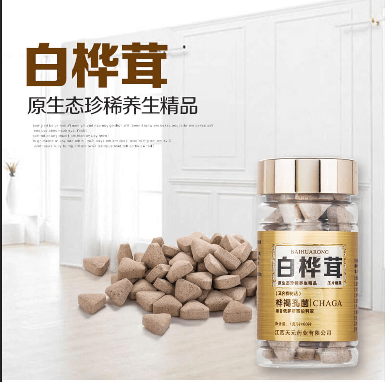 白樺茸-（白樺樹菇）