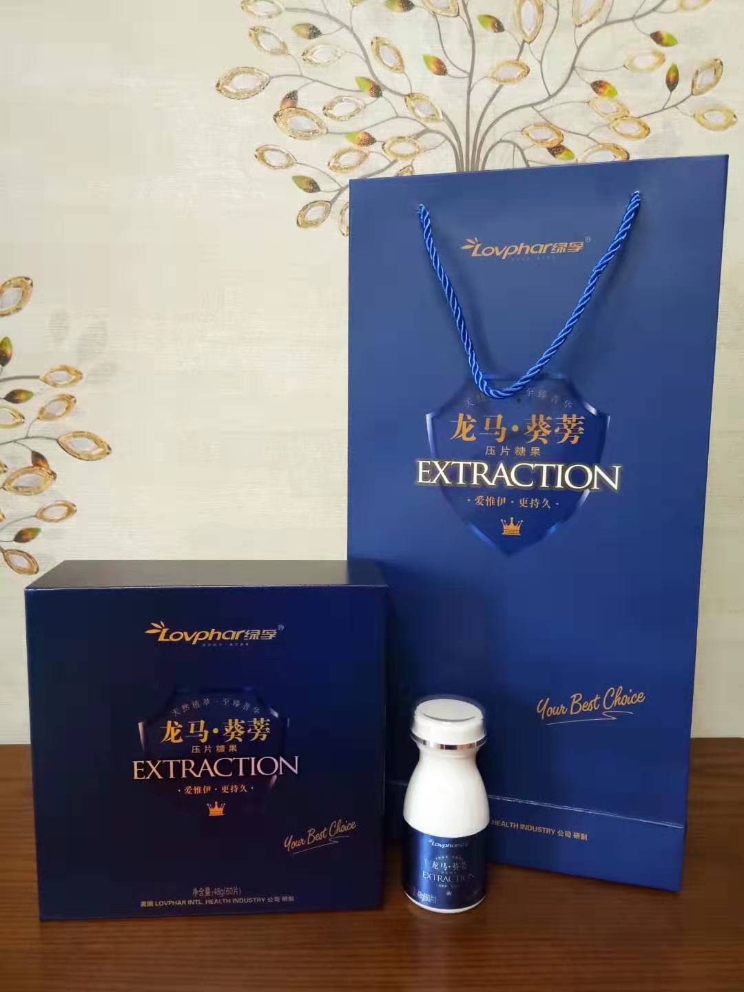 青島綠孚   龍馬.葵蒡