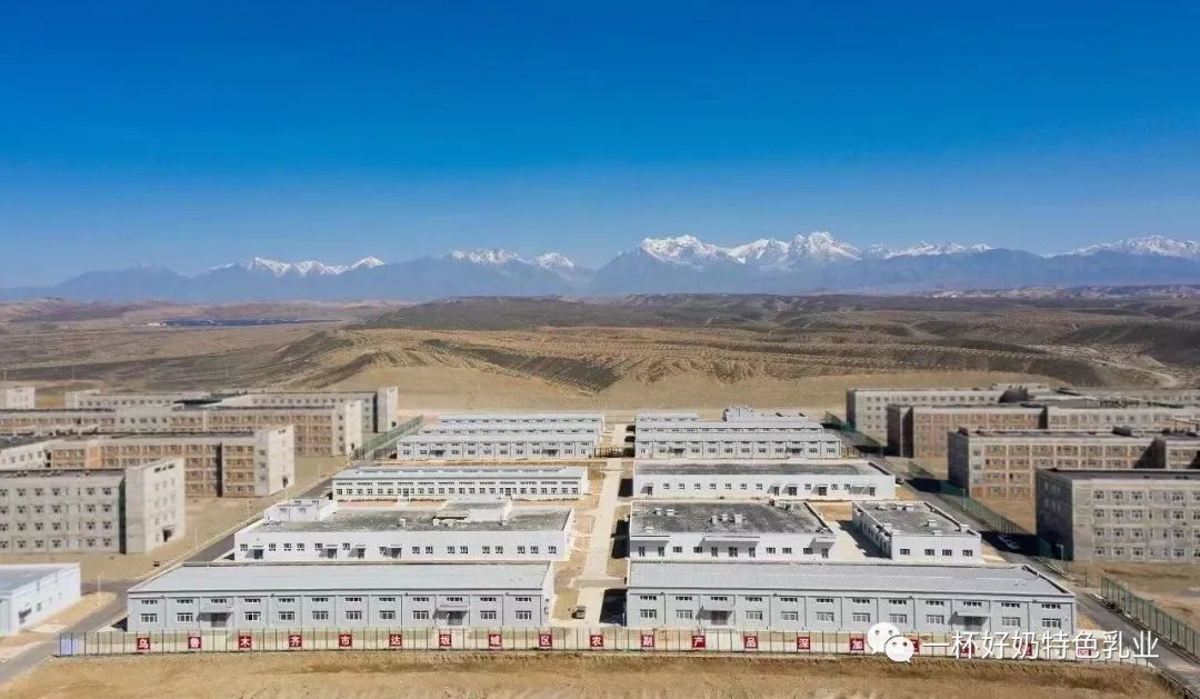 新疆駱駝奶粉全國招商 駝奶粉代理 私人訂制OEM