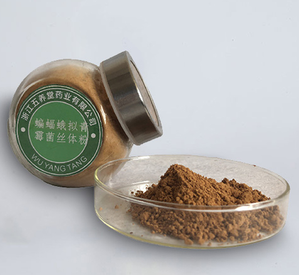 蝙蝠蛾擬青霉菌絲體粉（發(fā)酵蟲草菌絲體粉）（浙江五養(yǎng)堂藥業(yè)有限公司）