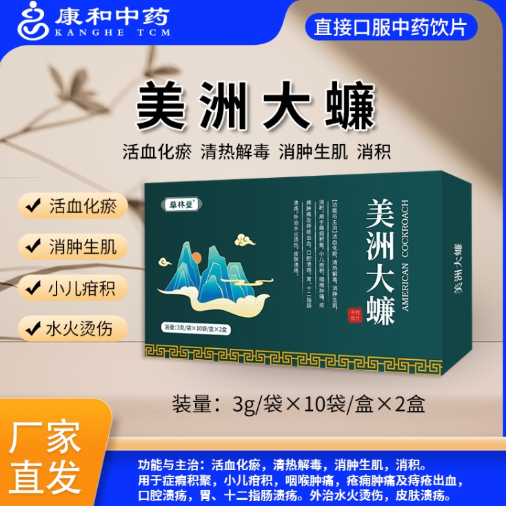 美洲大蠊